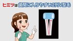 1分動画カット1.jpg
